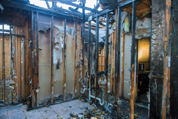 Professional Fire Damage Removal technician working in Kirkland, WA