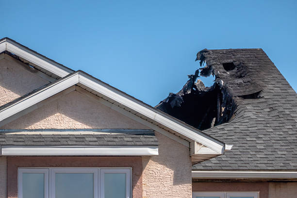 Top rated local Fire Damage Removal specialists in Kirkland, WA